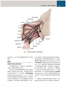  Howard E. Evans《犬解剖指引第八版》台灣愛思唯爾