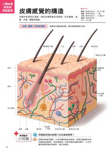 奈良信雄, 菅本一臣《人體結構與疾病透視聖經：看不到的身體構造與疾病，3D立體完整呈現，比X光片更真實、比醫生解說更詳實（內附日本獨家授權3D立體動畫）》大是文化  