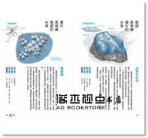 生命無奇不有！海、河、湖的怪奇生物圖鑑 東販]