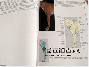 《獸醫解剖學彩色圖譜：犬貓篇（三卷 2版）》台灣愛思唯爾