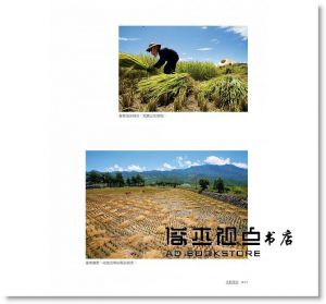 沈婷, 郭大澤《引爆文創商機：在地化、生活化，解析文創品牌成功祕密》上奇時代