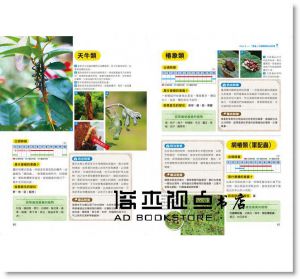 高橋孝文《500張病症實境照！植物病蟲害防治全圖鑑》 [台灣廣廈]