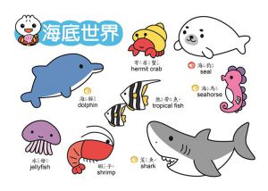 風車編輯群《我的幼幼認知有聲學習書II(新版)
》風車
