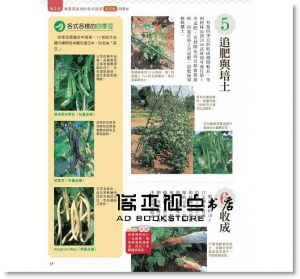 新手學種菜！62種常見蔬菜栽種攻略 [楓葉社]