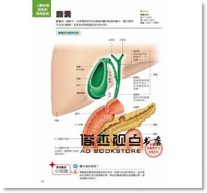 奈良信雄《人體結構與疾病透視聖經：看不到的身體構造與疾病，3D立體完整呈現，比X光片更真實、比醫生解說更詳實（內附日本獨家授權3D立體動畫DVD光碟）》大是文化