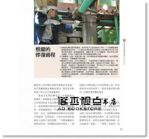 圖解日式榫接：161件經典木榫技術，解讀百代以來建築‧門窗‧家具器物接合的工藝智慧》易博士