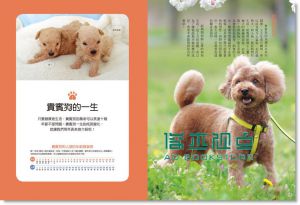 现货 ：第一次跟貴賓狗的生活方式14[紙印良品]