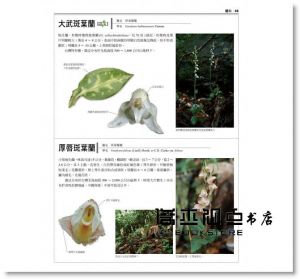 鐘詩文《台灣原生植物全圖鑑第二卷：蘭科（恩普莎蘭屬）:燈心草科》貓頭鷹