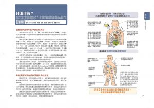 仙頭正四郎 中醫超圖解：認識中醫的第一本書，陰陽五行、氣血津液、四診八綱、漢方用藥、經絡養生一次就懂(新裝版) 漫遊者文化