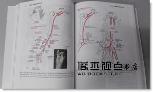  正版：Paul Jackson Mansfield《基礎肌動學Essentials of Kinesiology for the Physical Therapist Assistant》愛思唯爾