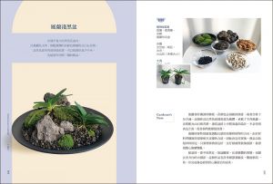 崔廷原《我的第一堂植栽組盆美學課：用最好養的「觀葉×多肉×苔蘚」植物，設計出58種改變空間氛圍的療癒系盆景》蘋果屋