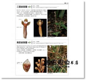 鐘詩文《台灣原生植物全圖鑑第二卷：蘭科（恩普莎蘭屬）:燈心草科》貓頭鷹