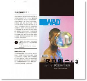 现货 《編輯設計學：數位與印刷刊物的全方位編輯設計指南》積木