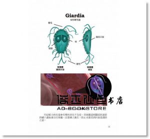 詹哲豪《蟲蟲危機：你需要知道的寄生蟲&節肢動物圖鑑及其疾病與預防！》晨星