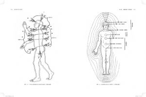 现货 芭芭拉‧安‧布藍能《光之手—人體能量場療癒全書》橡樹林