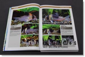 曾偉杰《鼠魚圖典400種》魚雜誌社