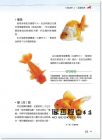 創意眼資訊《金魚事典：從認識、飼養到觀賞，寵物金魚的綺麗圖鑑》PCuSER電腦人文化