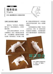 野澤延行《貓咪你想說什麼》 晨星出版