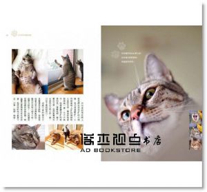 胡涓涓《溫柔陪在你身旁：Carol與14隻貓咪們的生活。日常。》日日學
