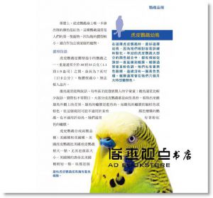 羅賓．德義智 鸚鵡飼育百科：從品種、安全、健康照護到訓練方法的全面指南！（修訂版） 晨星 