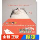 现货 一個屋簷下：瘋狂貓咪生活日記13[流行風][大力 派機]