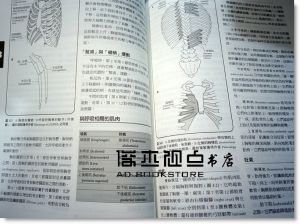 现货 專為姿勢不良罹患疾病及受傷所設計的皮拉提斯教學法實用手