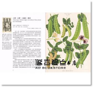 海倫與威廉‧拜能《形塑人類文明的80種植物 [馬可孛羅]