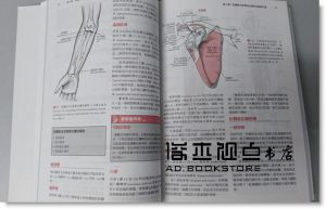  正版：Paul Jackson Mansfield《基礎肌動學Essentials of Kinesiology for the Physical Therapist Assistant》愛思唯爾