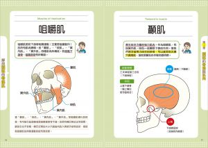 上原健志《肌肉骨骼解剖速查手冊：一頁一圖一肌群！快速掌握人體7大部位x100個肌肉知識，從健身運動到疼痛修復都能派上用場的實用指南》蘋果屋