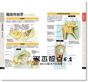 松村天裕, 竹内修《 骨骼 構造＆活動百科》楓葉社文化