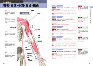 童小芳《超图解经络．穴道：透過經穴建构人体健康地图》台灣東販
