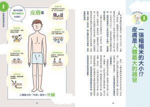 豐田雅彥 全方位無瑕美肌養護小百科：從皮膚基礎知識、疑難雜症剖析到凍齡保養一本搞定！ 台灣東販