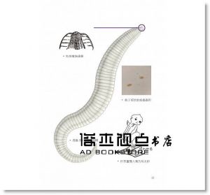 詹哲豪《蟲蟲危機：你需要知道的寄生蟲&節肢動物圖鑑及其疾病與預防！》晨星