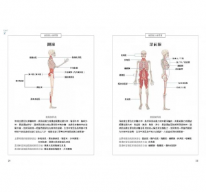 布魯斯（Bruce） 全民人體力學保健教室：1分鐘快速揪痛！解讀人體「壓力訊號」、破解「痠痛密碼」的MLS療法 方舟文化