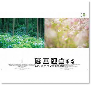 剖析經典，從光線、形狀、色彩解構風景攝影達人創作思維 [尖端]