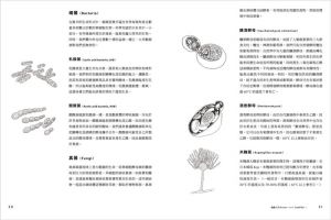 NOMA餐廳發酵實驗：米麴、康普茶、醬油、味噌、醋、古魚醬  大家