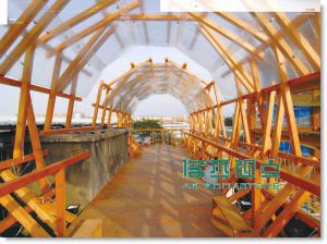 朗读违章 Illegal Architecture