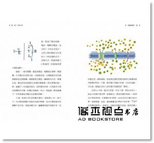 楊定一《短路：心靈的科學》天下生活