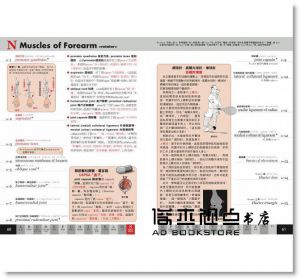 原島廣至《圖解：肌肉單字大全》楓書坊