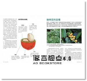傑若米 托茲《咖啡新鮮事》 楓葉社