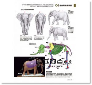 片桐裕司《動物雕塑解剖學》北星