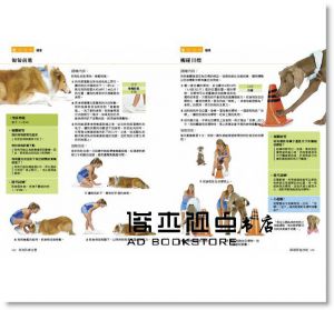 《狗狗訓練全書：101堂成長課，讓愛犬聰明聽話又貼心》 朱雀]